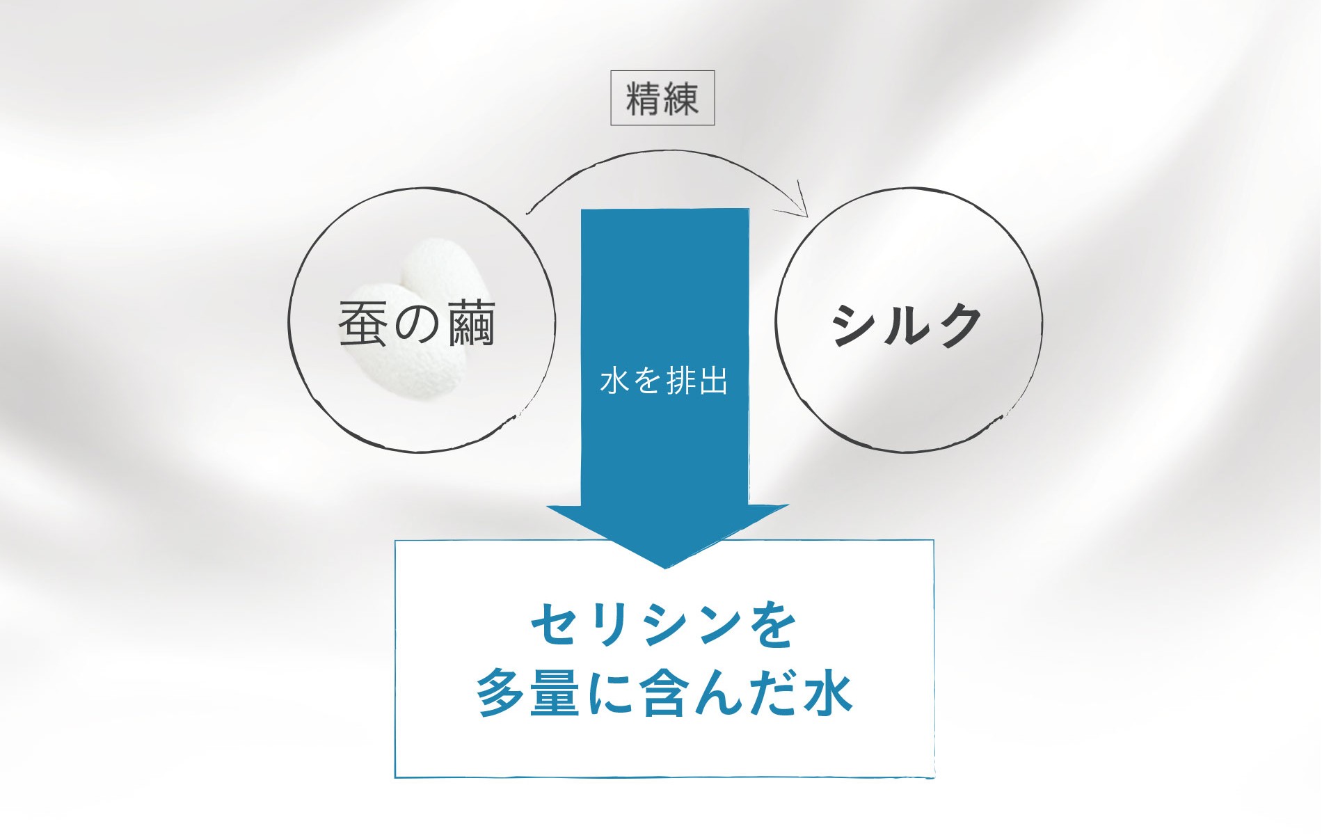 シルクエキス